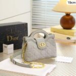 Ash Gray 19cm Luxury Iconic Designer Bag