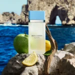 Dolce&Gabbana, Light Blue - Image 4