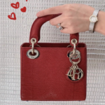 Bright Red 14x18cm Luxury Iconic Designer Bag