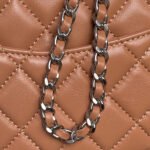 CHANEL 25S MINI FLAP BAG 18 IN DARK CARAMEL CALFSKIN - Image 9