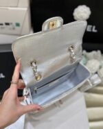 25S CHANEL STAR SILVER 23 IN METALLIC SILVER CALFSKIN - Image 12