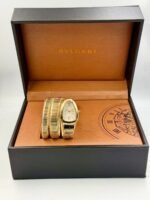 Branded Snake Watch, Champagne Watch Face, Gold - Image 2