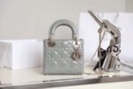 LADY 17 IN GRAY WITH CANNAGE PATTERN - Image 11