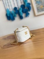 CC MINI 10 VANITY IN WHITE CALFSKIN GOLD HARDWARE - Image 11