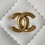 SMALL VANITY CASE 17 IN WHITE CALFSKIN GOLD HARDWARE - Image 6