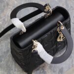LADY BAG 24 IN BLACK GRAPHIC CANNAGE CALFSKIN PALE GOLD-FINISH METAL CHARMS - Image 3