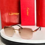 SANTOS ROUND FRAME SUNGLASSES 524480 IN METAL AND WOODEN - Image 5
