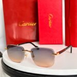 SANTOS ROUND FRAME SUNGLASSES 524480 IN METAL AND WOODEN - Image 15
