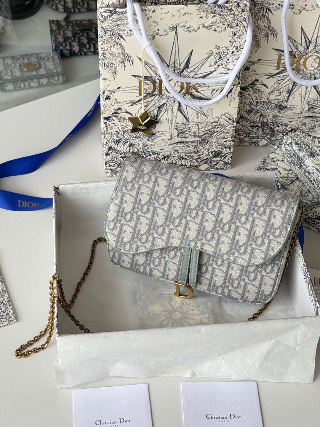 DIOR 25S MEDIUM SADDLE POUCH WITH CHAIN 21 IN GRAY DIOR OBLIQUE JACQUARD CANVAS - Image 14