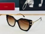 C DE BUTTERFLY FRAME SUNGLASSES 530154 IN METAL AND ACETATE - Image 3