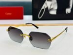 PANTHÈRE RIMLESS GEOMETRIC FRAME SUNGLASSES CT0504S IN METAL - Image 14