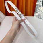 DIOR 25S BELT 20 MM IN WHITE CALFSKIN 562163 - Image 9