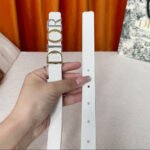 DIOR 25S BELT 20 MM IN WHITE CALFSKIN 562163 - Image 6