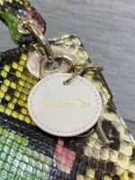 MINI 17 LADY BAG IN COLORFUL SNAKESKIN PATTERN LAMBSKIN 225975 - Image 5