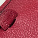 HERMES 25S MINI EVELYNE 18 IN BURGUNDY PATTERNED STRAP CALFSKIN SILVER HARDWARE - Image 9