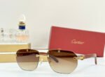 PREMIÈRE GEOMETRIC FRAME SUNGLASSES CT0621S IN METAL AND WOODEN - Image 11