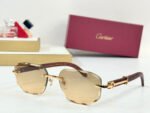 C DE GEOMETRIC FRAME SUNGLASSES CT0606S IN METAL AND WOODEN - Image 10