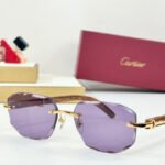 C DE GEOMETRIC FRAME SUNGLASSES CT0606S IN METAL AND WOODEN - Image 9