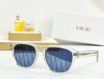 MONTAIGNE SUNGLASS DIORFLAG2 IN ACETATE - Image 11
