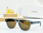 MONTAIGNE SUNGLASS DIORFLAG2 IN ACETATE - Image 7
