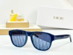 MONTAIGNE SUNGLASS DIORFLAG2 IN ACETATE - Image 10