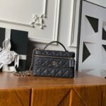 CHANEL 25S VANITY BAG 20 IN BLACK CAVIAR LEATHER - Image 10