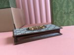 HORSEBIT 1955 WALLET IN BEIGE EBONY CANVAS MIX BROWN CALFSKIN GOLD CHAIN - Image 6