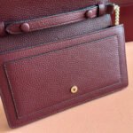 GUCCI 25S DIONYSUS WALLET ON CHAIN 20 IN ROSSO ANCORA CALFSKIN - Image 15