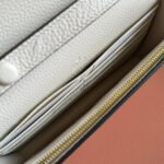 GUCCI 25S DIONYSUS WALLET ON CHAIN 20 IN IVORY CALFSKIN - Image 14