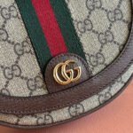 GUCCI 25S OPHIDIA MINI BAG 20 IN DARK BEIGE CANVAS AND BROWN CALFSKIN - Image 4