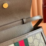 GUCCI 25S OPHIDIA BAG 18 IN BEIGE CANVAS AND BROWN CALFSKIN SILVER HARDWARE - Image 15