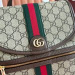 GG 25S OPHIDIA MEDIUM BACKPACK 30 IN BEIGE AND EBONY CALFSKIN - Image 3