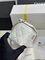 VANITY CASE 17 CRYSTAL STUDDED LOGO IN WHITE CALFSKIN GOLD HARDWARE - Image 12