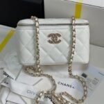 VANITY CASE 17 CRYSTAL STUDDED LOGO IN WHITE CALFSKIN GOLD HARDWARE