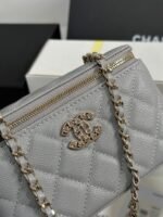 VANITY CASE 17 CRYSTAL STUDDED LOGO IN GREY CALFSKIN GOLD HARDWARE - Image 3