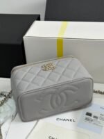 VANITY CASE 17 CRYSTAL STUDDED LOGO IN GREY CALFSKIN GOLD HARDWARE - Image 12