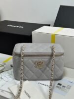 VANITY CASE 17 CRYSTAL STUDDED LOGO IN GREY CALFSKIN GOLD HARDWARE - Image 8