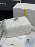 MINI VANITY TOP HANDLE CASE 17 IN WHITE CAVIAR SKIN SILVER-TONE PLATED METAL - Image 16