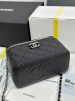 MINI VANITY TOP HANDLE CASE 17 IN BLACK CAVIAR SKIN SILVER-TONE PLATED METAL - Image 18