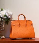 HM BIRKIN 25 BAG IN FIRE ORANGE OSTRICH LEATHER WITH SILVER HARDWARE (MADE-TO-ODER) - Image 2