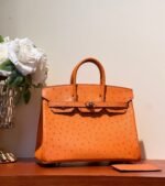 HM BIRKIN 25 BAG IN FIRE ORANGE OSTRICH LEATHER WITH SILVER HARDWARE (MADE-TO-ODER) - Image 6