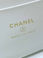 STRASS VANITY QUILTED CASE 19 IN WHITE CALFSKIN WITH GOLD METALLIC - Image 17