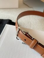 CELINE 25S BELT 25MM IN BROWN CALFSKIN SILVER HARDWARE 561793 - Image 7