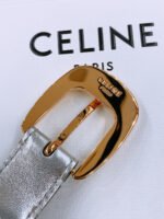 CELINE 25S BELT 25MM WITH ARC DE TRIOMPHE BUCKLE IN SILVER 571498 - Image 10