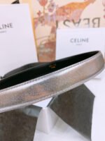 CELINE 25S BELT 25MM WITH ARC DE TRIOMPHE BUCKLE IN SILVER 571498 - Image 6