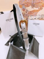 CELINE 25S BELT 25MM WITH ARC DE TRIOMPHE BUCKLE IN SILVER 571498 - Image 8