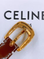 CELINE 25S BELT 18MM WITH ARC DE TRIOMPHE BUCKLE IN BURNT UMBER 571505 - Image 9