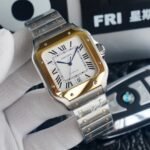 SANTOS DE CARTIE 39MM TWO-TONE - Image 4
