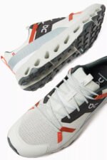 **On Running Cloudnova Form** - Image 3