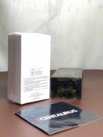 Dior Homme Intense EDP 100mL | Scentaurus - Image 2